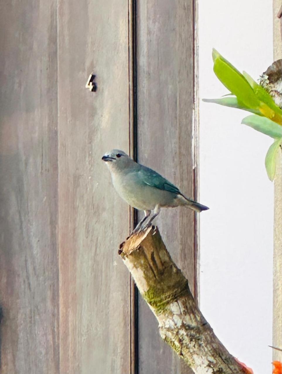 Pousada Das Artes Tiradentes Bagian luar foto